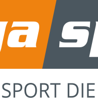 Gigasport Logo grauer Slogan