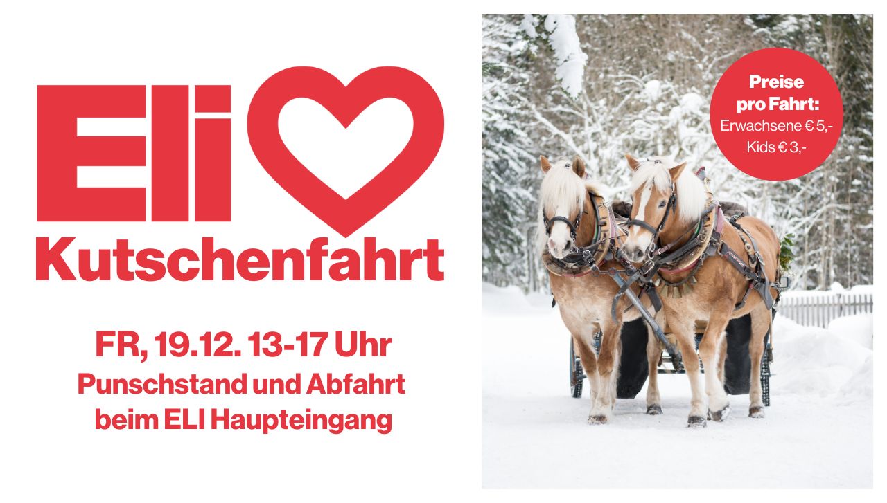 Kutschenfahrt 2025 Webslider (1280x727px)