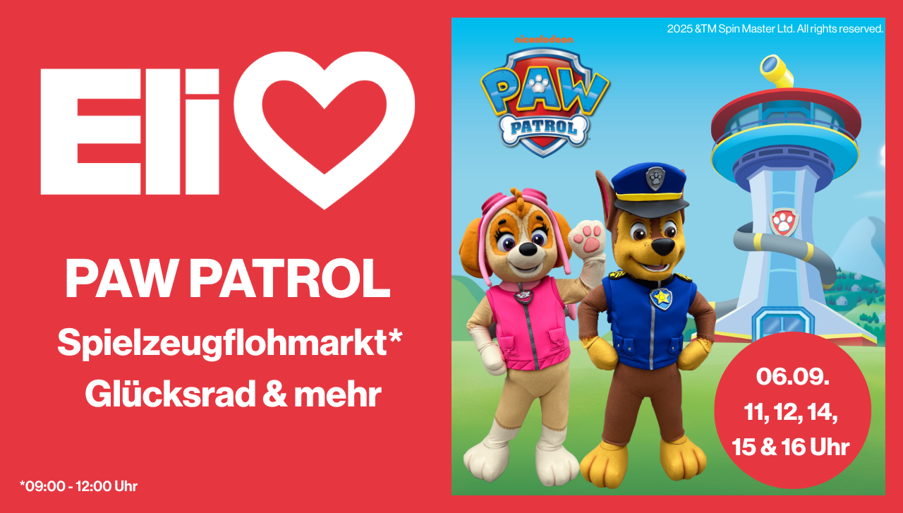 PAW PATROL Website Slider (1280x727 px)